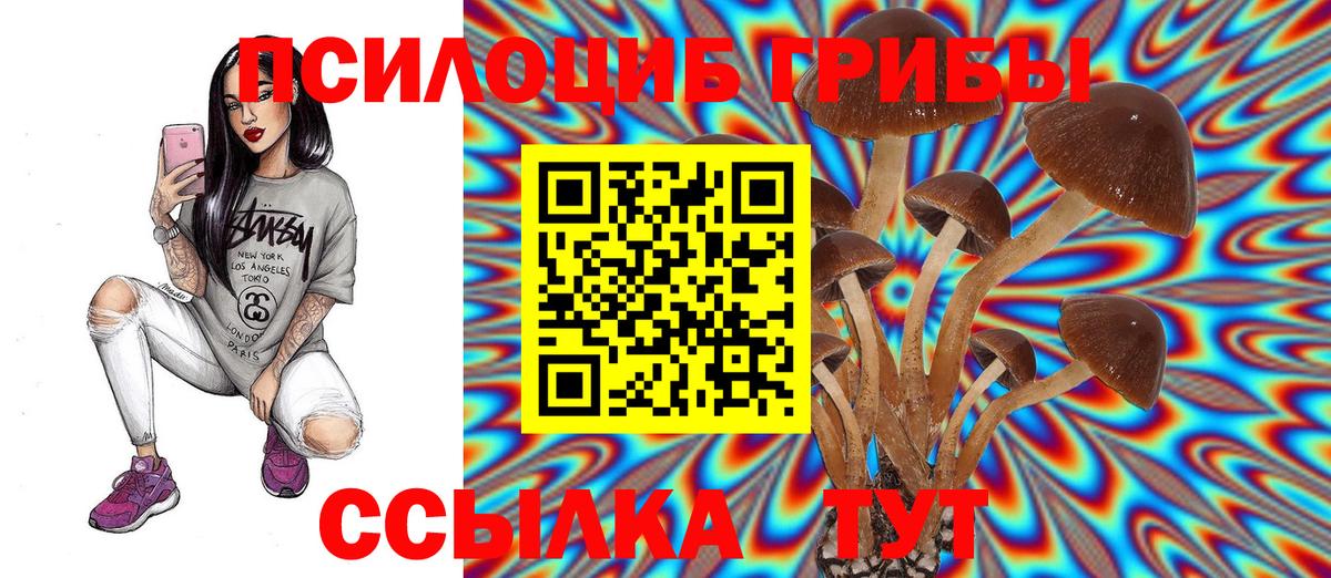 Псилоцибиновые грибы ЛСД  закладки  Вход с VPN  Старая Купавна  Галлюциногенные грибы MAGIC MUSHROOMS 