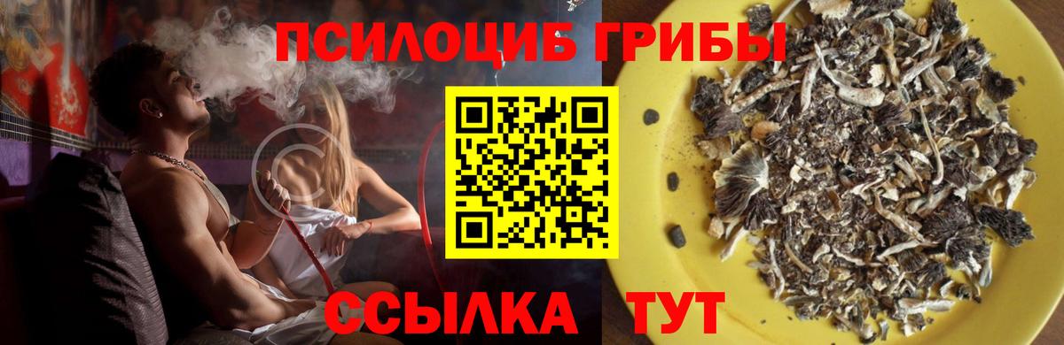 Галлюциногенные грибы мицелий Старая Купавна